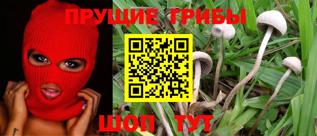 Урюпинск  Галлюциногенные грибы мицелий  Вход с VPN 